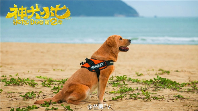 http://www.newswatch247.com/pics/default/download/4aefb029f1c391563306824dae696982.jpg