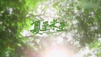 《夏至未至》初見版預(yù)告：那些男孩和女孩教會(huì)的事兒！
