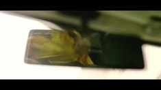花絮之寧浩客串盤點(diǎn)