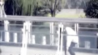 愛(ài)情從告白開(kāi)始