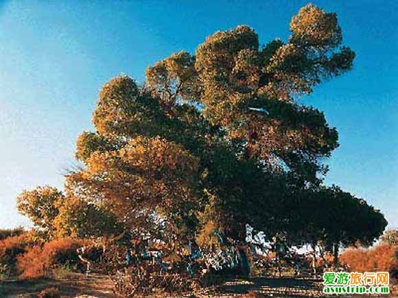 http://www.newswatch247.com/pics/default/download/568415cca94d314ceafdbb35d92c905b.jpg