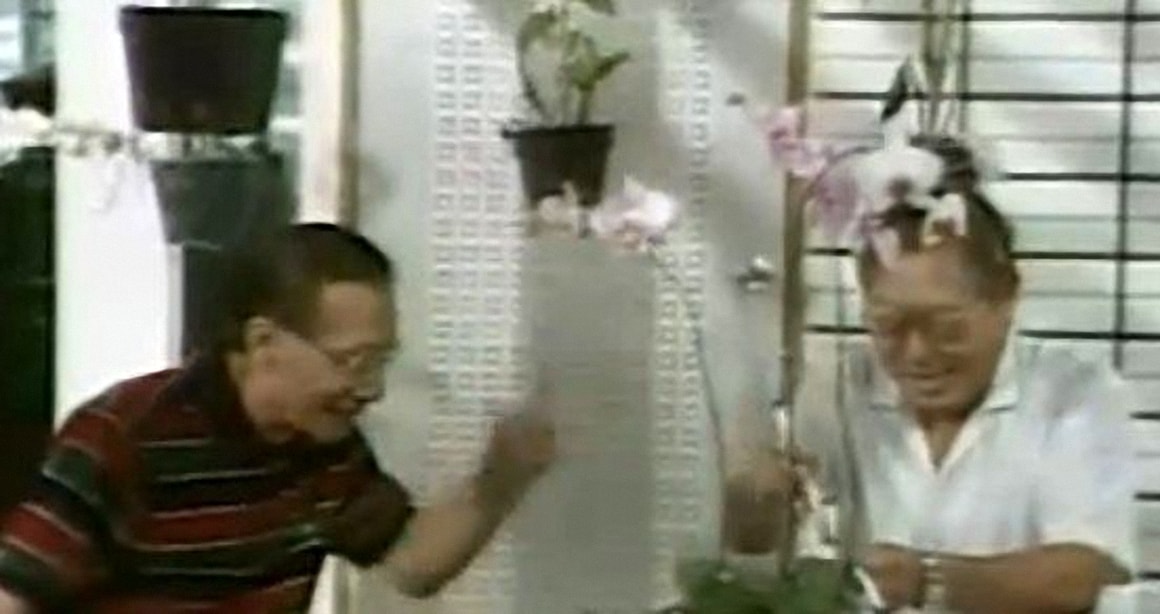 http://www.newswatch247.com/pics/default/download/586bfe519f3601319e25b0d6b31c7840.jpg