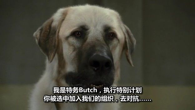 http://www.newswatch247.com/pics/default/download/5a2533cdda5f3223aa8093e22cb9cbd4.jpg