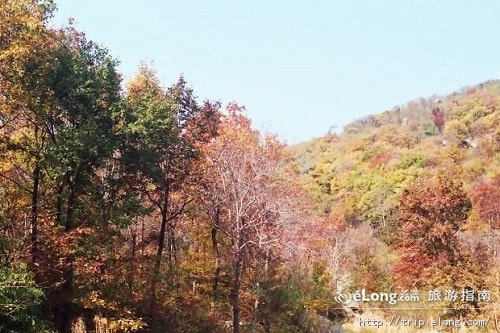 http://www.newswatch247.com/pics/default/download/5ab631e4f3e5d5798a77abcdffd31a8d.jpg