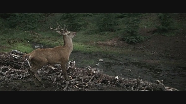 http://www.newswatch247.com/pics/default/download/5b14845b0bfb3bf8ba9a548b6ad3ed49.jpg