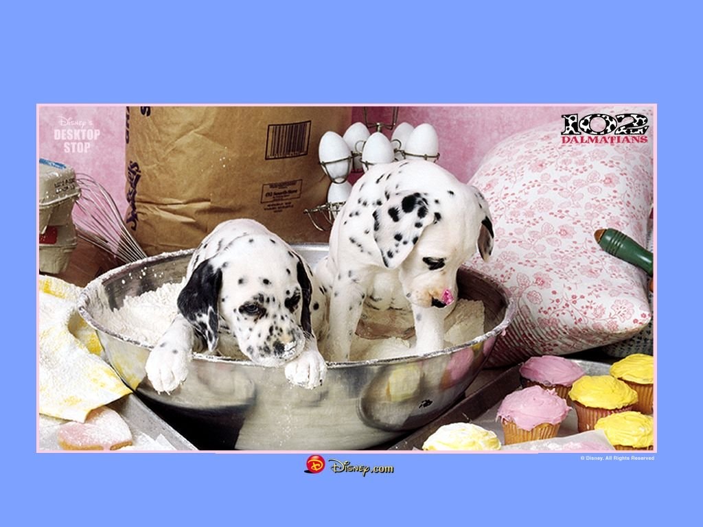 http://www.newswatch247.com/pics/default/download/5d30bfa4a5536ae826bcf7aafcbb392f.jpg