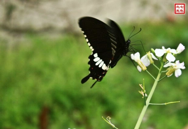 http://www.newswatch247.com/pics/default/download/5deb8cf3b890c09b6b17eaa5a264412f.jpg