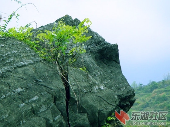 http://www.newswatch247.com/pics/default/download/5e32de88ef353a5001f1379cb8124031.jpg