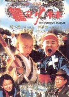龍在少林