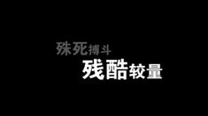 預(yù)告片1