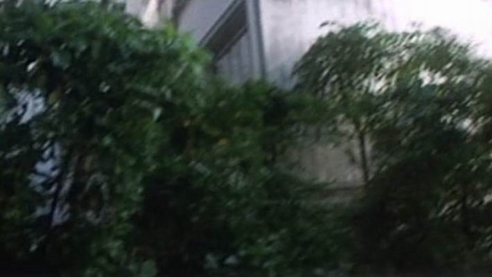 http://www.newswatch247.com/pics/default/download/614461d94159a5109d611b495844124e.jpg