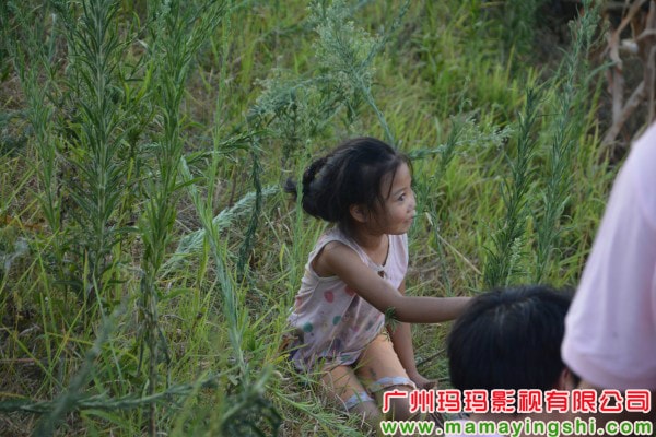 http://www.newswatch247.com/pics/default/download/686ce3d6f17842052d97788f9f3a76b6.jpg