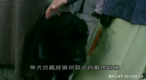 http://www.newswatch247.com/pics/default/download/68b4d93f89a27ee1761afa1000fba0ba.jpg