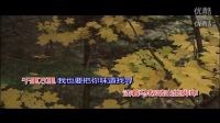 茶馬古道 王莉ktv左