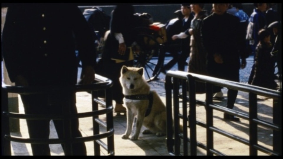 http://www.newswatch247.com/pics/default/download/6e8f7143e02ad66df9be634d9318765d.jpg