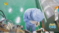天恩生物北京研究所所長呂澤田教授作客《新聞大求真》教你認識蜂膠