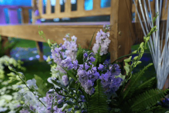 http://www.newswatch247.com/pics/default/download/7429678121568beabd7814a37c2b83df.jpg