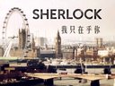 華生：夏洛克 我只在乎你 新年第一發！