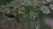 http://www.newswatch247.com/pics/default/download/770779fbe34ed9e663ded5f819070f0c.jpg