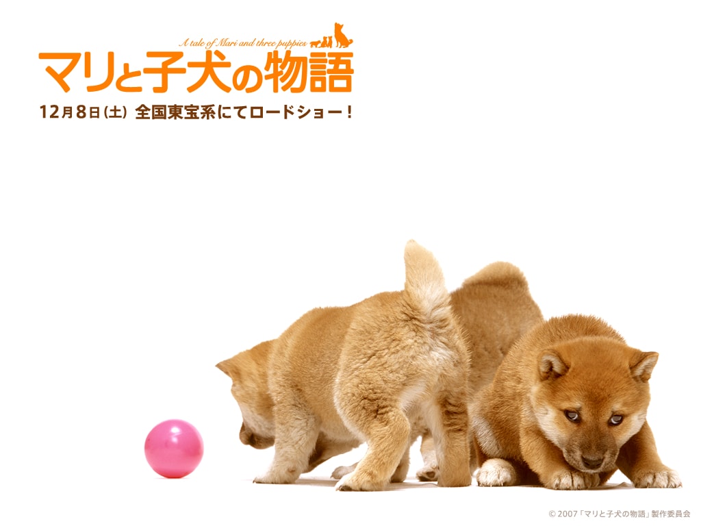 http://www.newswatch247.com/pics/default/download/778ad8e001abf1e716291c5ffeb62fdd.jpg