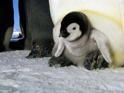 http://www.newswatch247.com/pics/default/download/78045cf4c791a3e4e0eeee107bd13a55.jpg