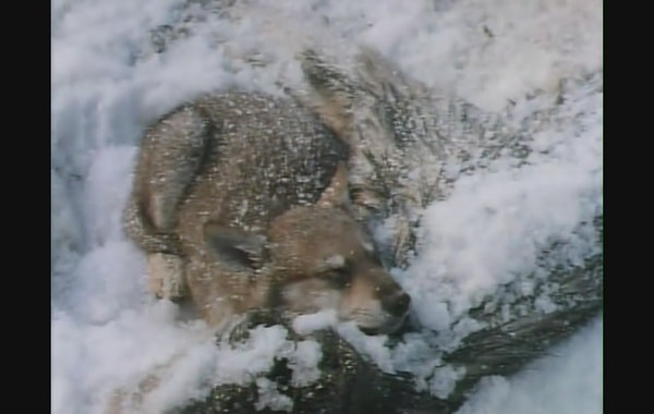http://www.newswatch247.com/pics/default/download/7824e245e6f29697e81810dae0120bcc.jpg