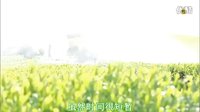 《結(jié)婚的女神）預告片(四)【中字】