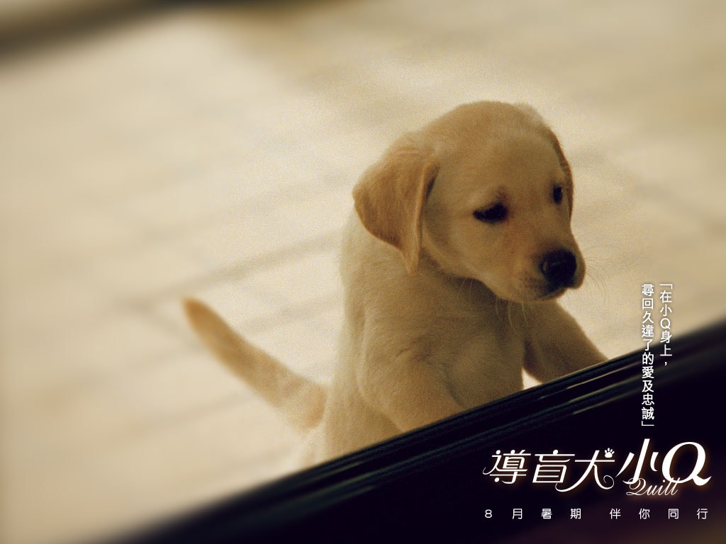 http://www.newswatch247.com/pics/default/download/7ad94b0d467f71bce0aaaaf5e19cd529.jpg