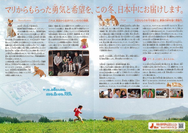 http://www.newswatch247.com/pics/default/download/7bc0330d08caf41580ce00ec8d04b51b.jpg