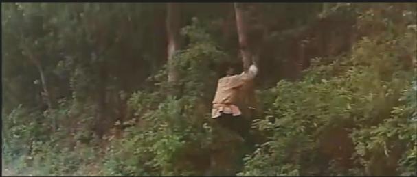 http://www.newswatch247.com/pics/default/download/7cd580799cae75ca7d5b56a6462c09b8.jpg
