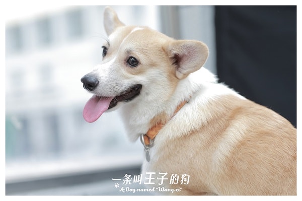 http://www.newswatch247.com/pics/default/download/8261e67a74e444f76ffa6f3adf9d1c06.jpg