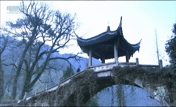 http://www.newswatch247.com/pics/default/download/83acce6f53a1098270098cd583b80d45.jpg