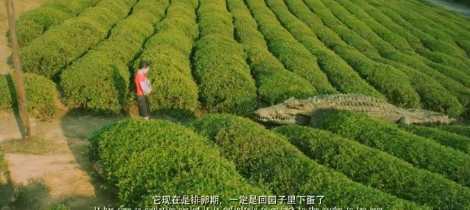 http://www.newswatch247.com/pics/default/download/8435c3e2358b476156180c61a2868cf6.jpg