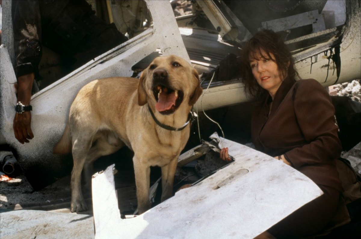 http://www.newswatch247.com/pics/default/download/85efedb7524d9847fa2f81c981ed7e1e.jpg