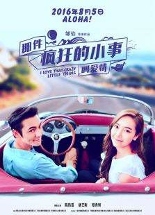 那件瘋狂的小事叫愛情