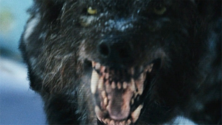 http://www.newswatch247.com/pics/default/download/873f00b37eb3e48dc60a715c593794a5.jpg