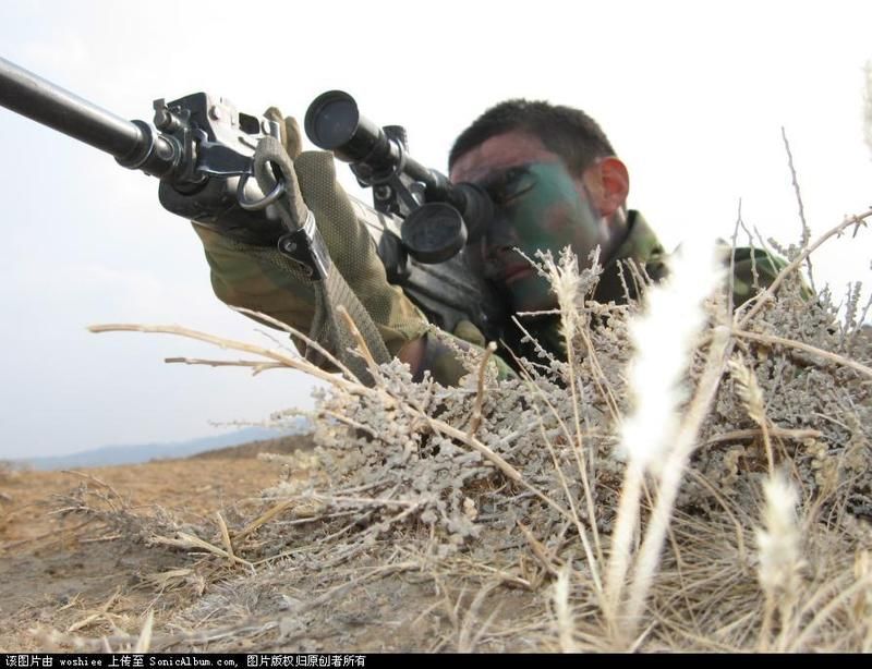 http://www.newswatch247.com/pics/default/download/8961f77b1d669a6aab2aa4cdd8f24c8b.jpg