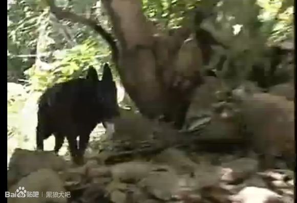 http://www.newswatch247.com/pics/default/download/89fad0a466cab62b28bcbaca9a1b2d3c.jpg
