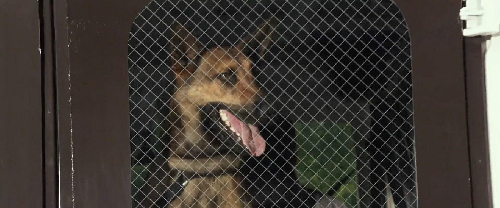 http://www.newswatch247.com/pics/default/download/8a7af64a4f2c436a1299fd460976e282.jpg