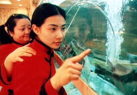 http://www.newswatch247.com/pics/default/download/8aa71eb47c76b3d513af43b3bdcfe45c.jpg
