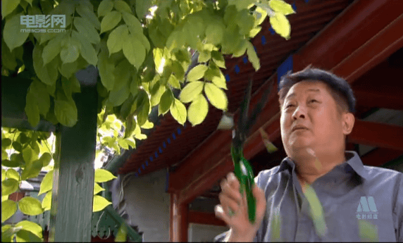 http://www.newswatch247.com/pics/default/download/8bd9ad0bf424ef9047cba2bfb3cbdebc.jpg