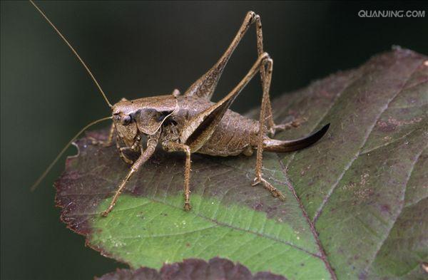 http://www.newswatch247.com/pics/default/download/8e9dadc3defc31ece134a1c5eaaaefb1.jpg