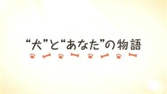 預(yù)告片