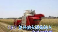 831、基督教贊美詩歌：復(fù)興的火烈焰的火：美麗的家等：河北視頻1