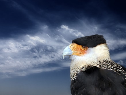 http://www.newswatch247.com/pics/default/download/93c030e0589e137054fc6a67a7a39c67.jpg