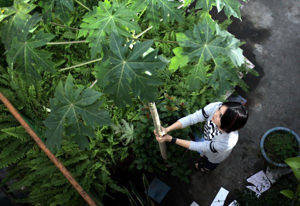 http://www.newswatch247.com/pics/default/download/94eb33b8aae4d2d85d511ef6c90cf3ec.jpg