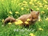http://www.newswatch247.com/pics/default/download/98354a34bbe8194223344671417fcf38.jpg