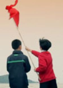 我是國(guó)旗手