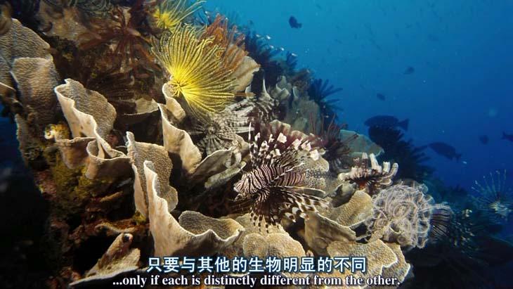 http://www.newswatch247.com/pics/default/download/992b0373551d3691d583e4fe0482bdde.jpg