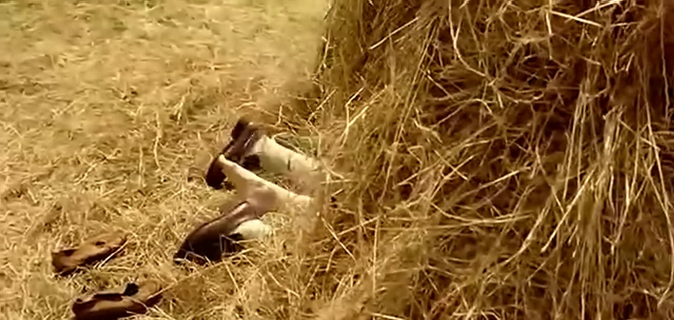 http://www.newswatch247.com/pics/default/download/9ab7f9c2f3e6eb47af4f369daff2c2d5.jpg